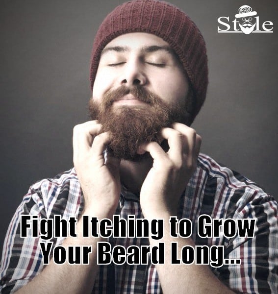 13-tips-to-grow-a-healthy-long-beard-diy-advice