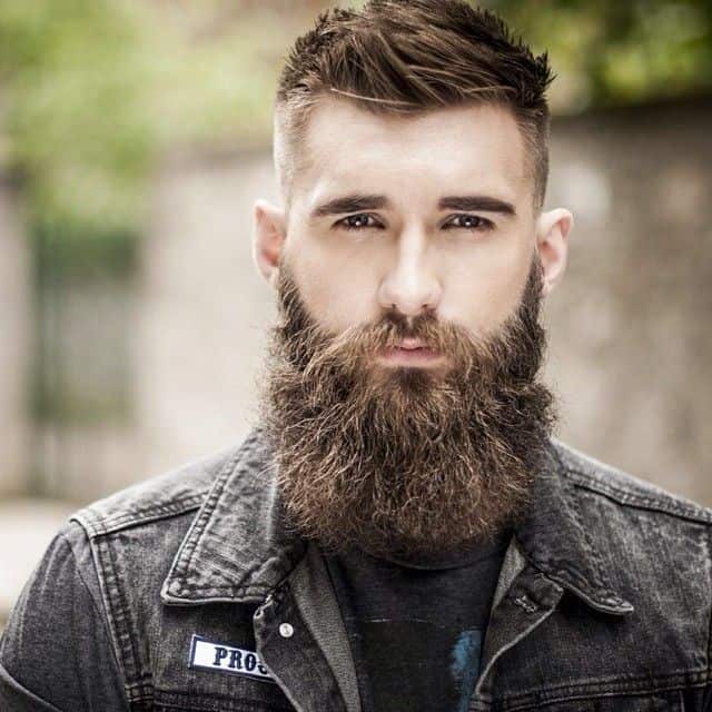 49 Coolest Beard Styles For Men 2017 Beardstyle The Groomed Male 