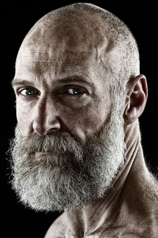 25 Classy Beard Styles Dedicated To Bald Men Beardstyle 3876