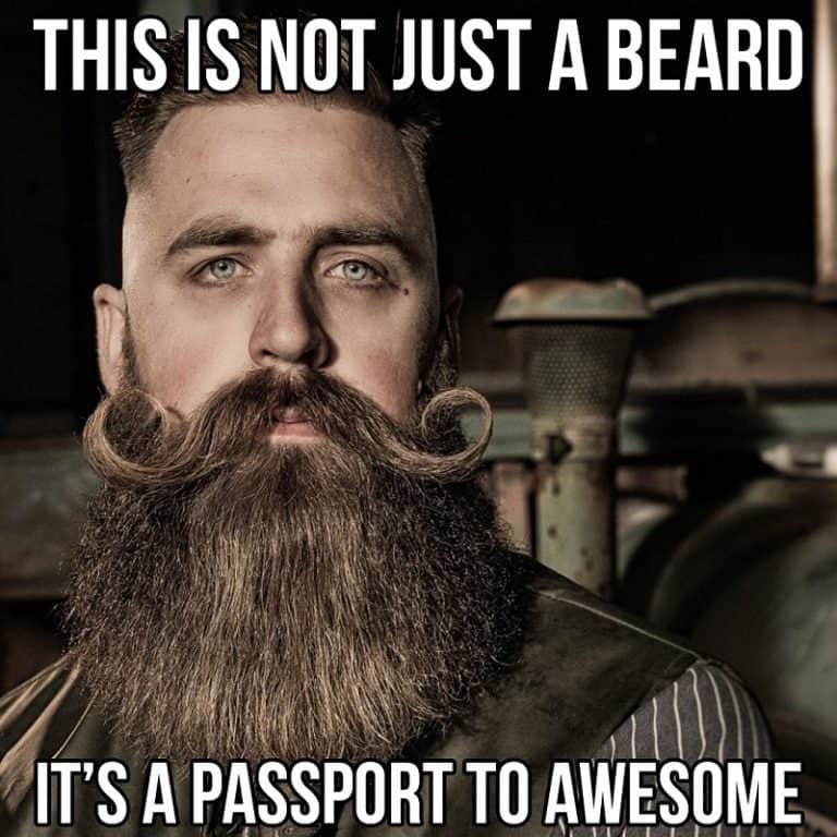 50 Funny Beard Memes That'll Definitely Make You Laugh