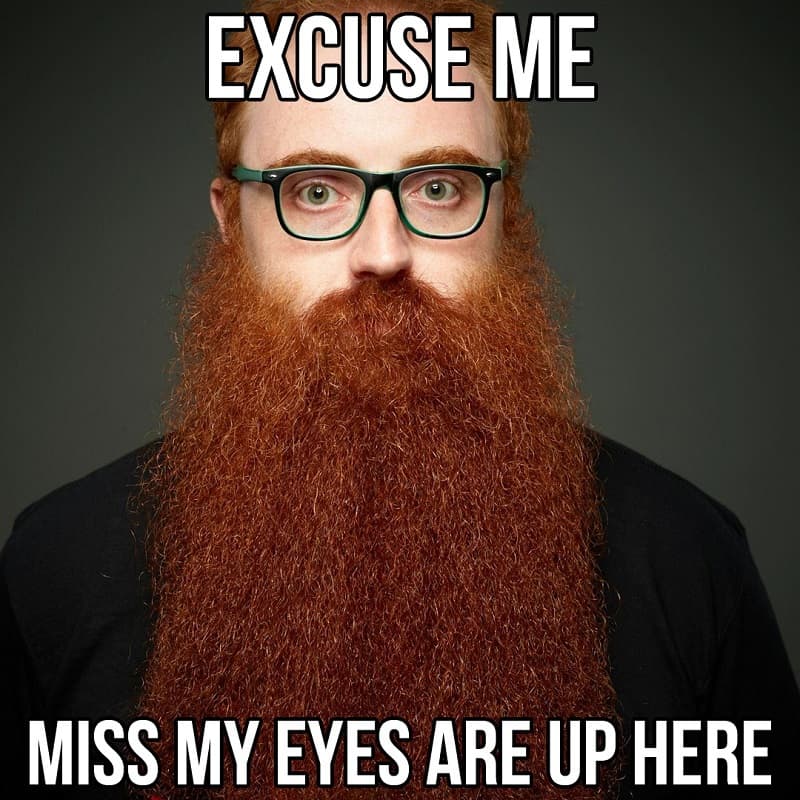 beard-meme-6 50あ​​なたが笑うこと間違いないと思われる面白いひげのミーム