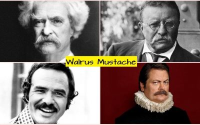 walrus mustache style