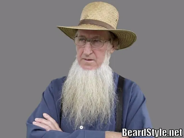 amish beard