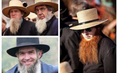 amish beard collage