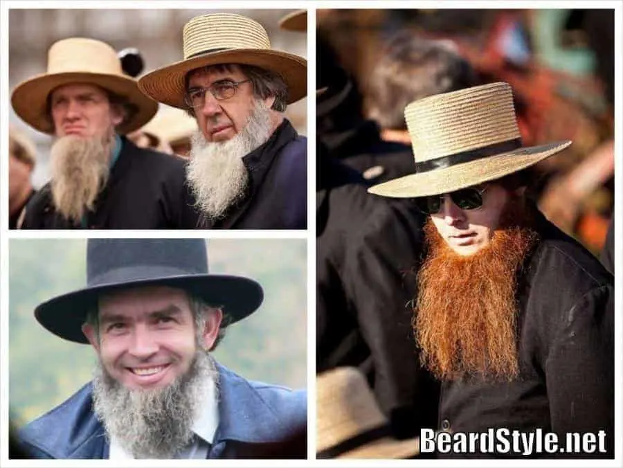 amish beard collage
