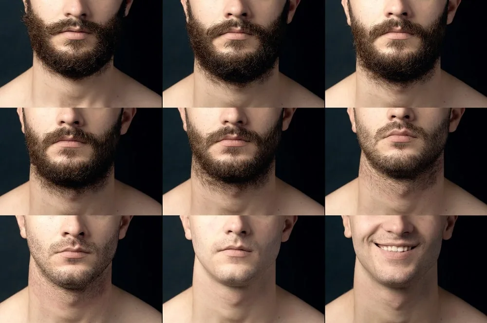 beard growth stages