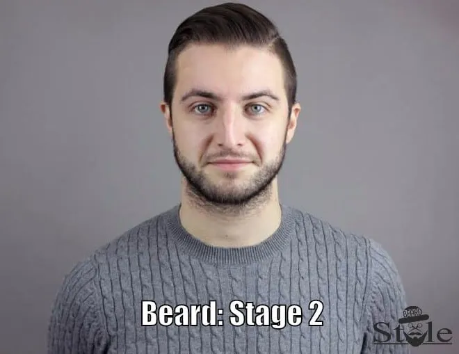 beard stage 2