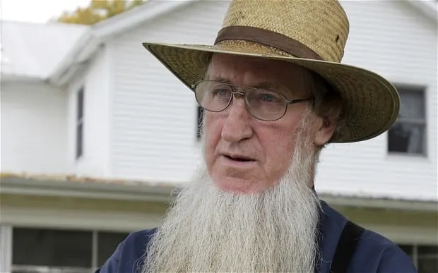 amish beard features