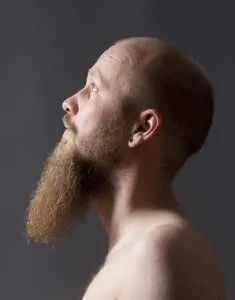 Portrait of a Man with Goatee Beard