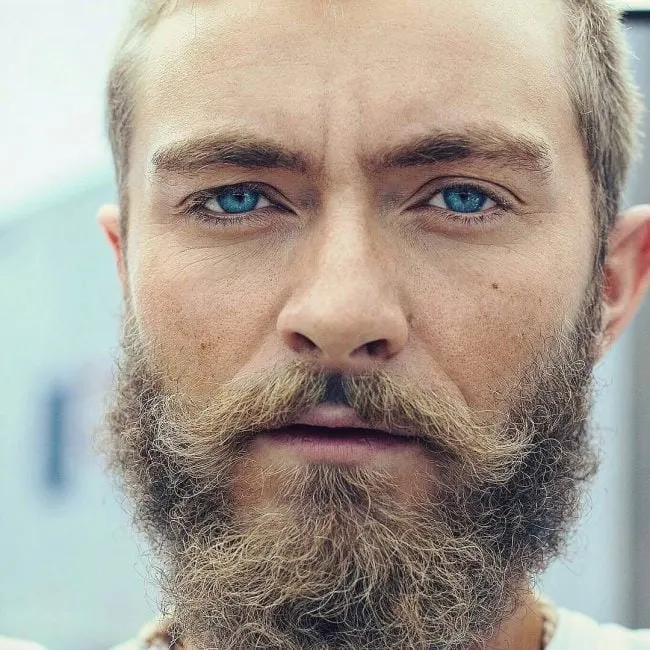 Big and Curly blonde beard style for men 