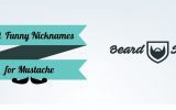 funny mustache names