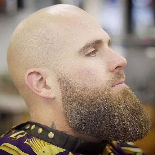 fade beard with bald head