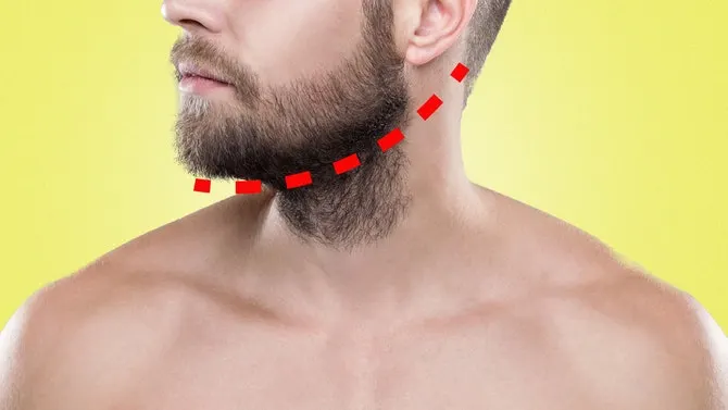 beard neckline