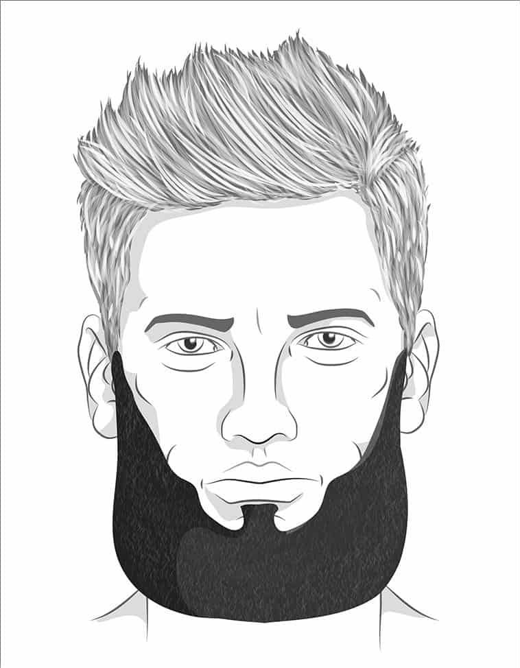 Beard Styles transparent background PNG cliparts free download  HiClipart