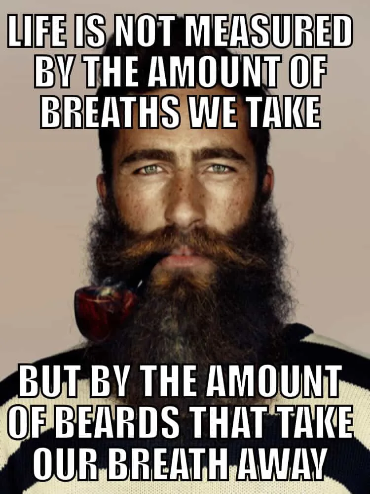 50 Funny Beard Memes Thatll Definitely Make You Laugh 3640