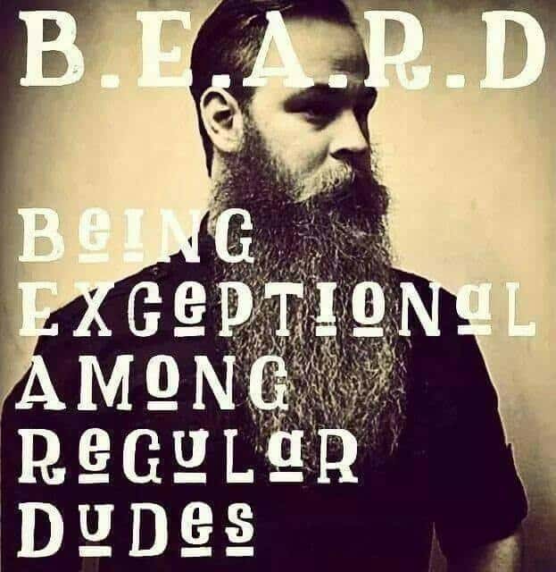 Beard-definition 50 Funny Beard Memes That'll Definitely Make You Laugh