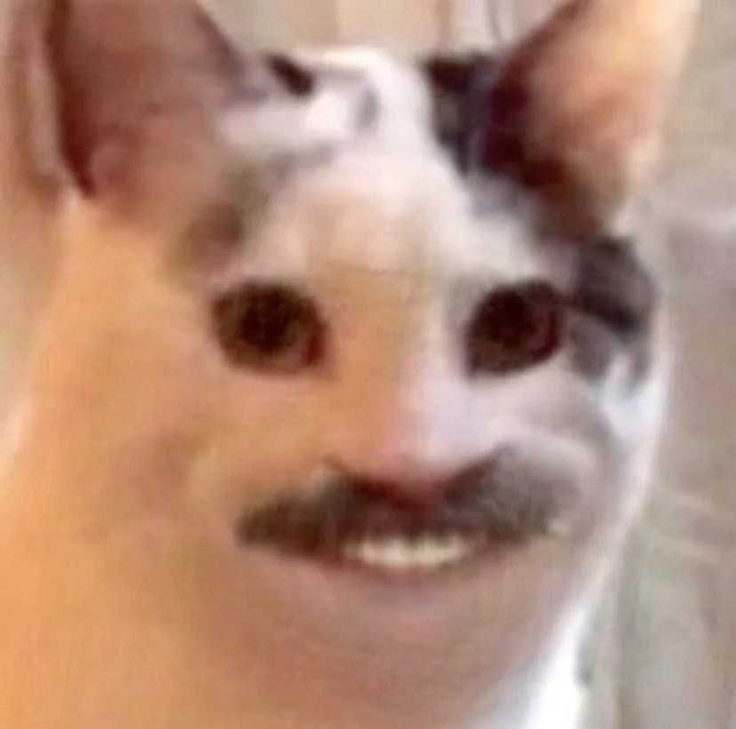 cat smiling with a drawn on mustache and teeth meme
