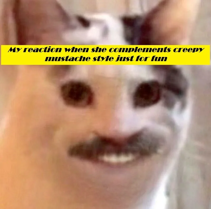 cat sarcastically smiling mustache meme