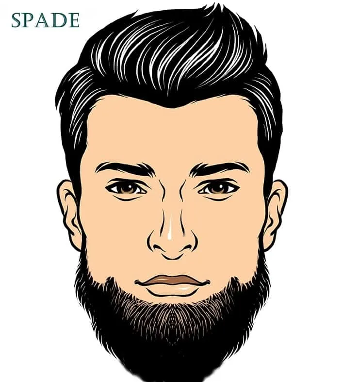 spade beard illustration