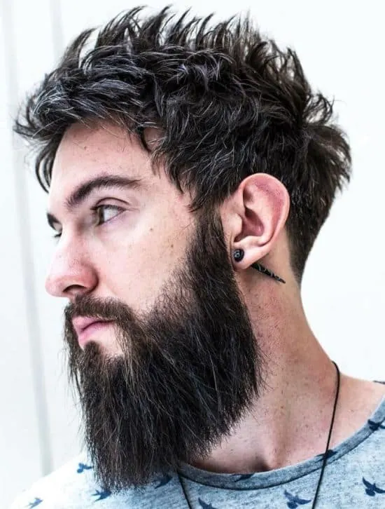 garibaldi beard
