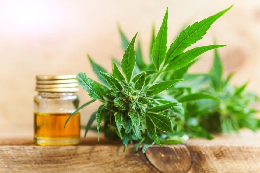 4 Benefits of CBD Oil for Your Beard BeardStyle