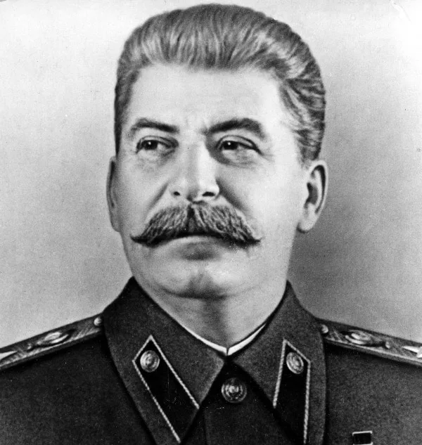 Joseph Stalin Walrus Mustache