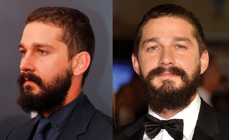 shia labeouf's thick beard