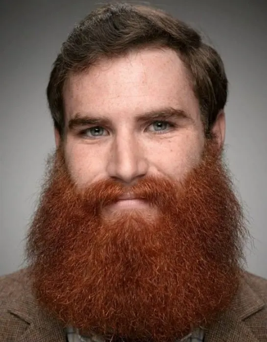 Guy with Red Lumberjack Beard and Brown Hair