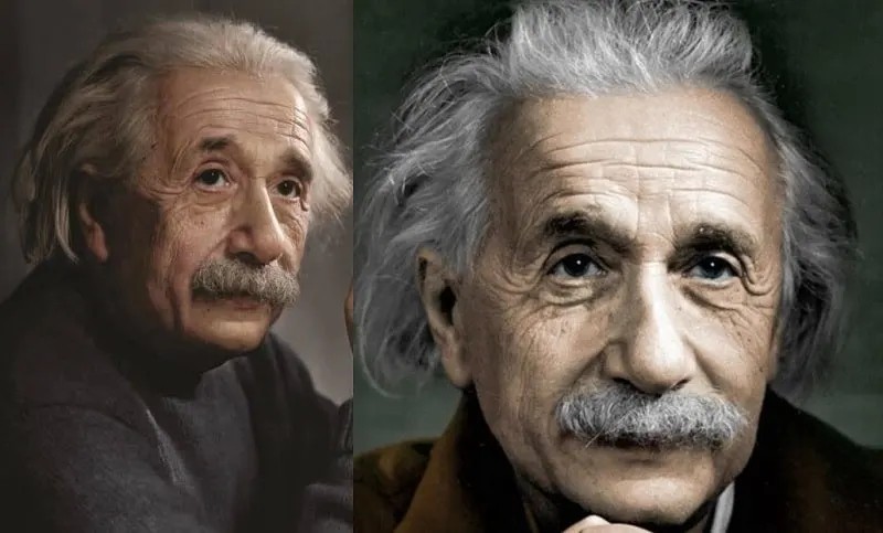Albert Einstein's Famous Mustache Style