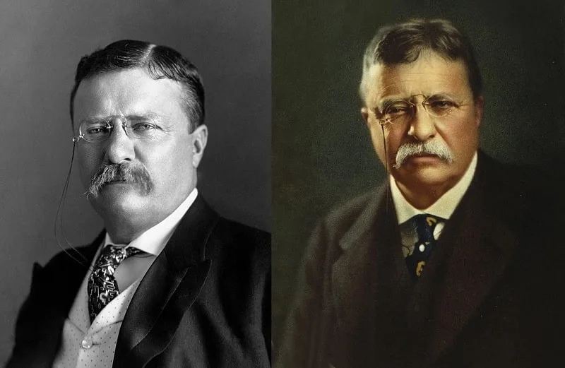 Theodore Roosevelt's Mustache 