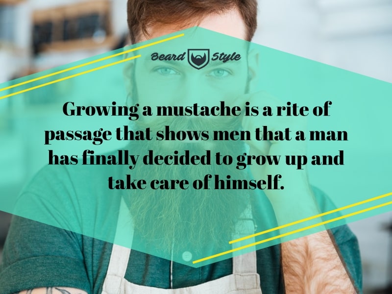 35 Funny Mustache Jokes & Quotes to Give You A Good Laugh