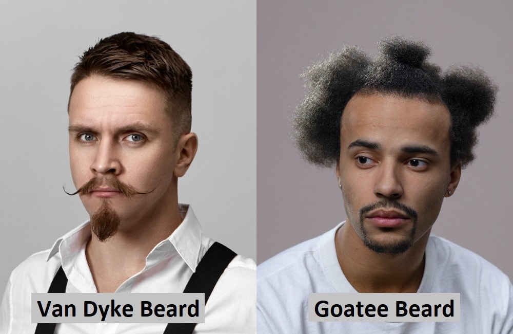 Van Dyke Vs Goatee Whats The Difference — Beard Style 