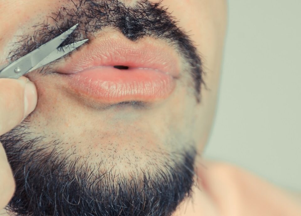 The 4 Stages of the Mustache Growth Cycle