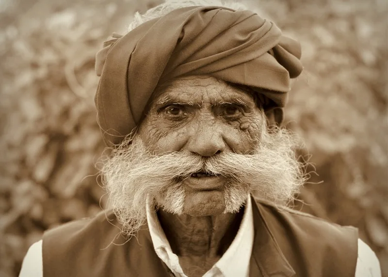 Gujarati Mutton Chops