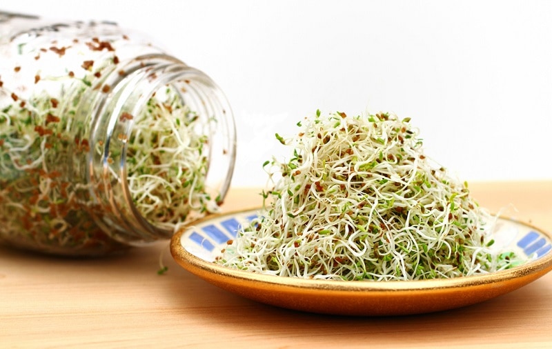 alfalfa sprouts for beard growth