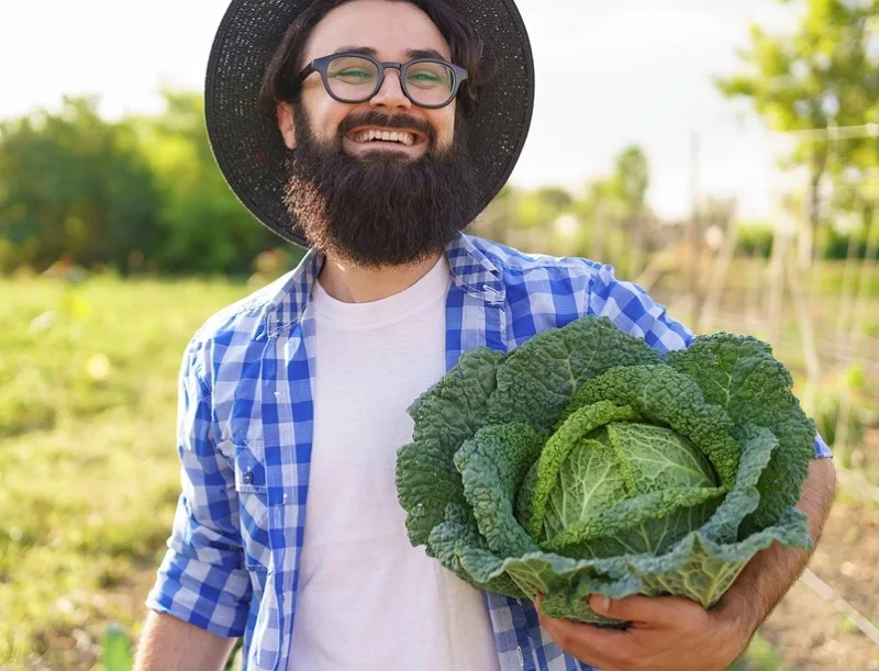 cabbage for beard growth