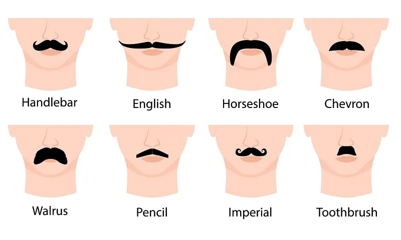 different mustache styles