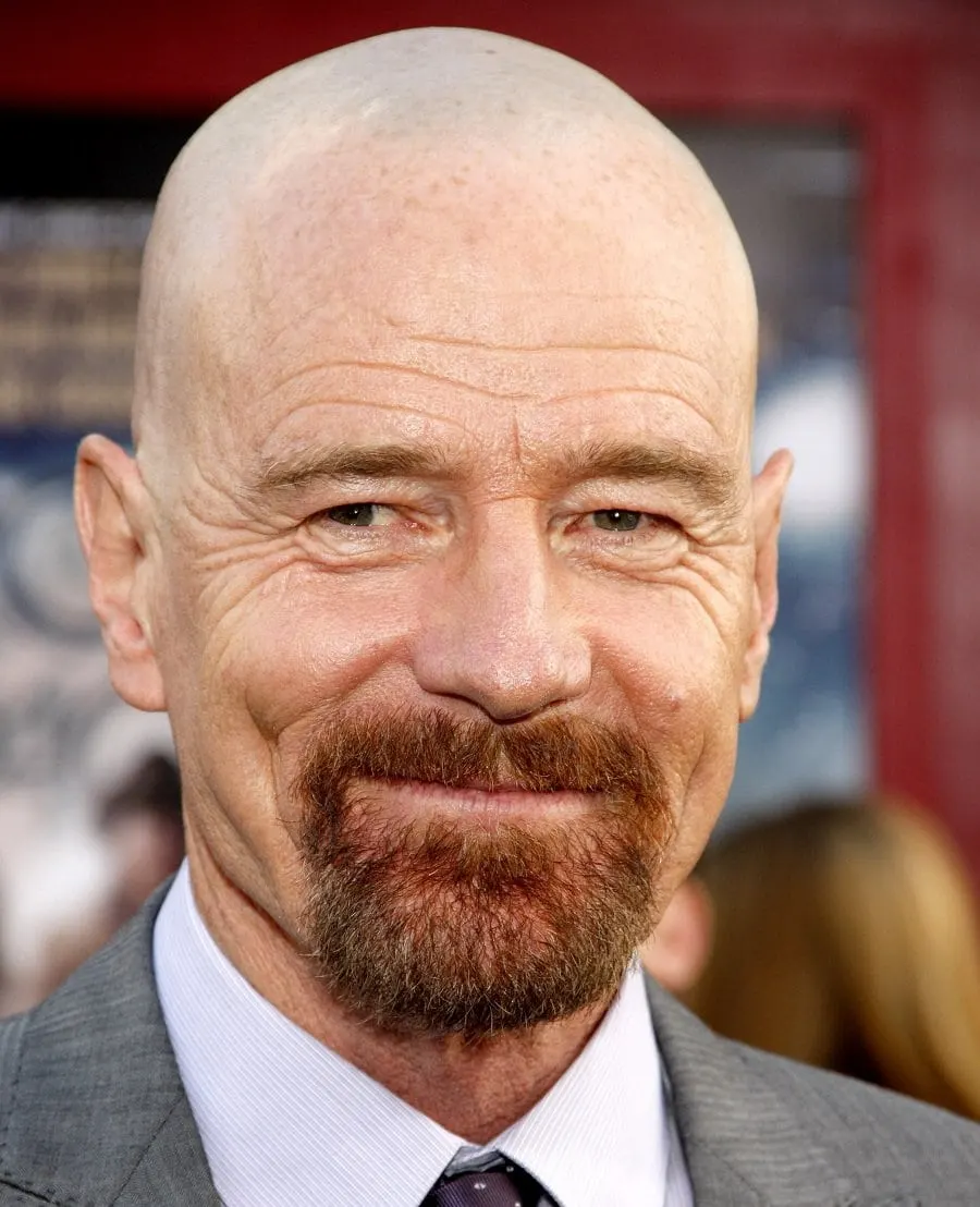 Bald Celebrity Bryan Cranston With Beard