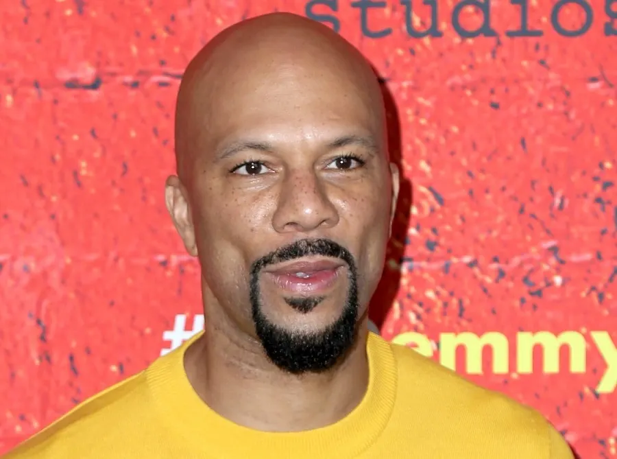 Bald Celebrity Common With Beard