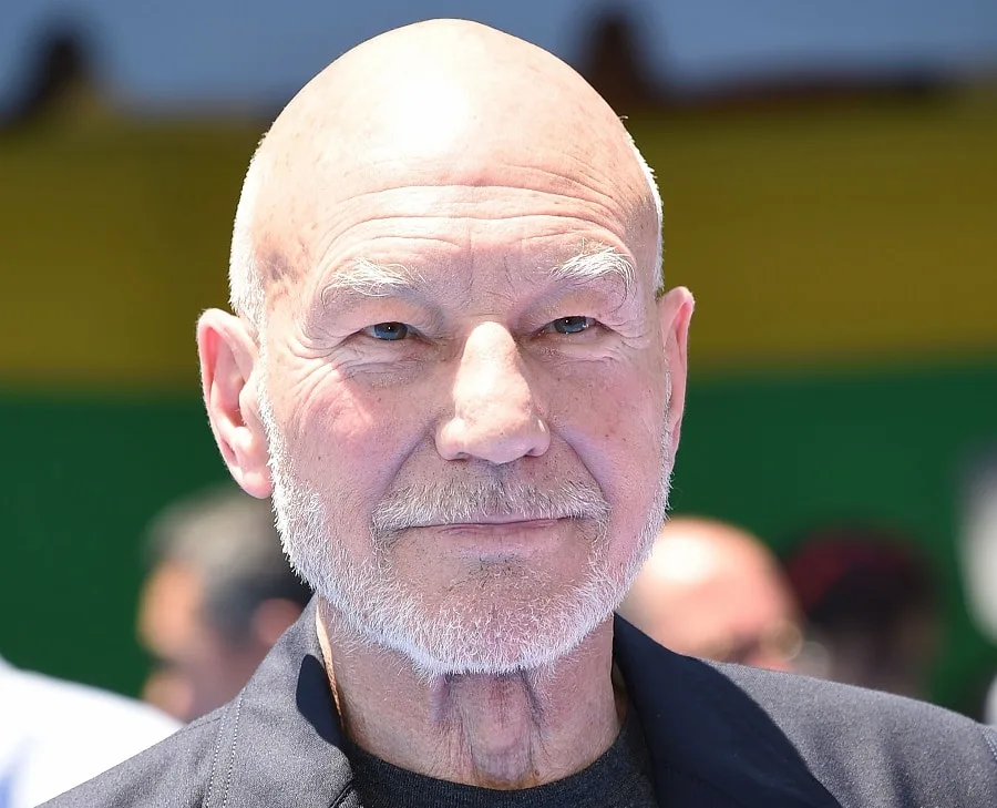 Bald Celebrity Patrick Stewart With Beard