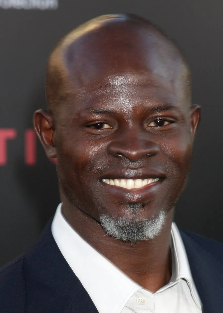 Celebrity Djimon Hounsou With Goatee Beard