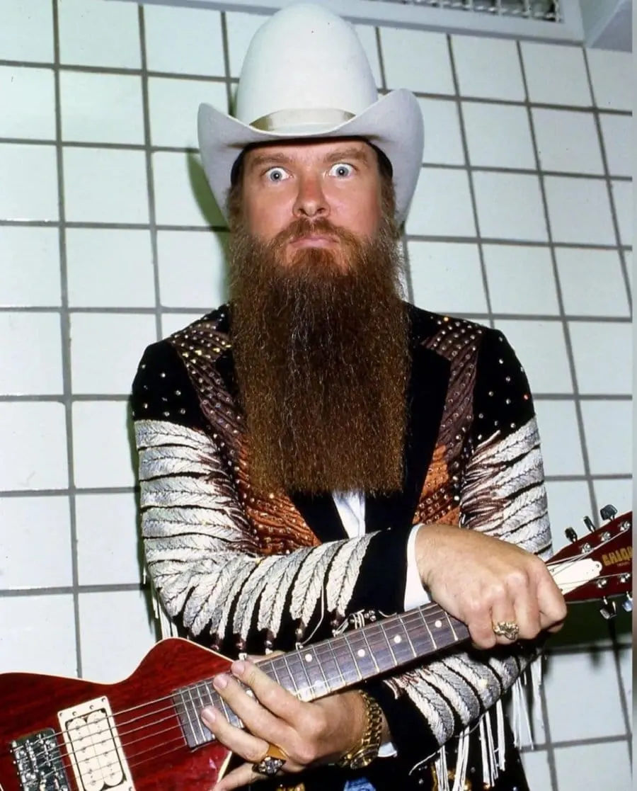 billy gibbons with long brown beard