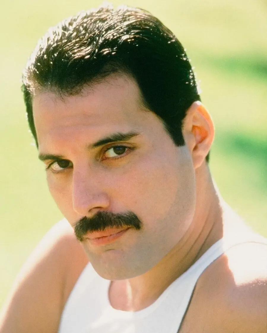 80s singer freddie mercury with mustache