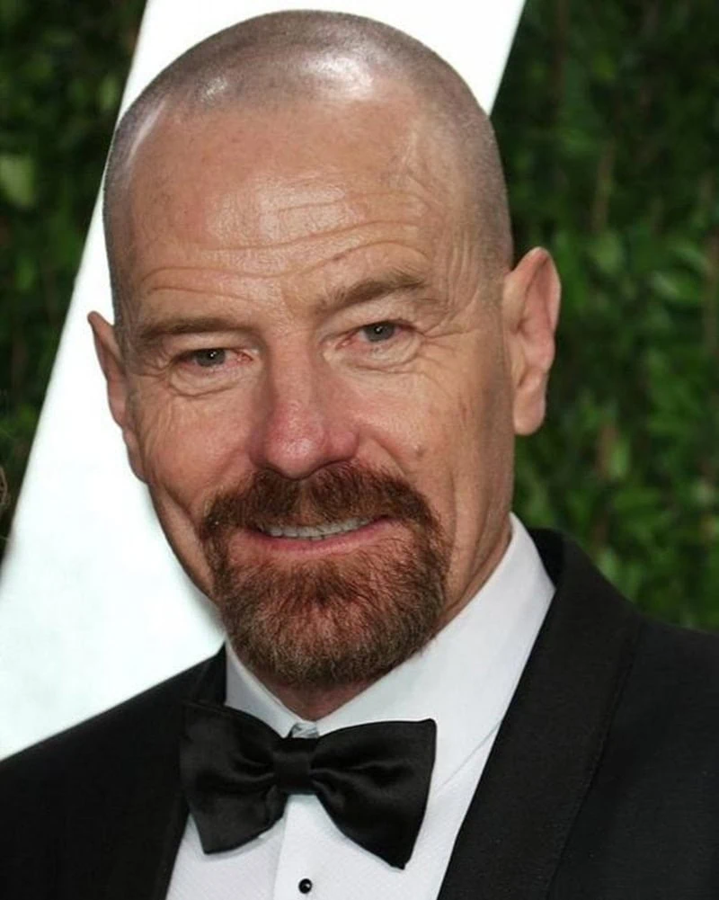 Shaved-head man with a reddish circle beard and connected mustache