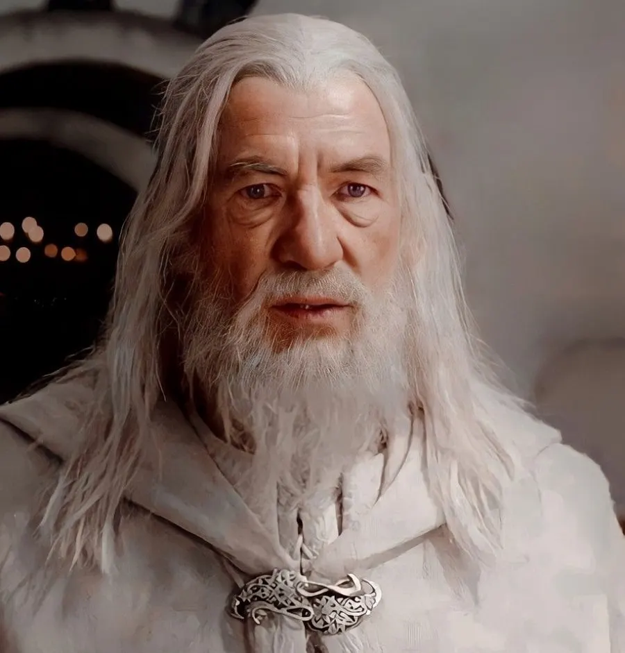 old actor Ian McKellen with beard